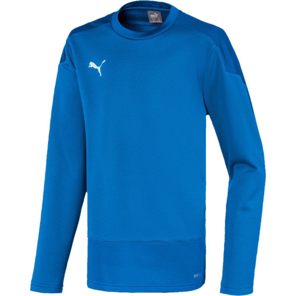 Puma Kinder Training Sweatshirt teamGOAL 23 blau